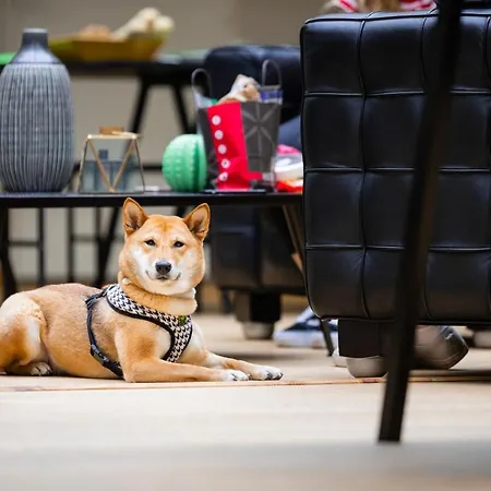 Ibis Styles Centre Отель 3*