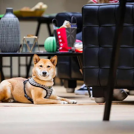 Otel Ibis Styles Centre 3*