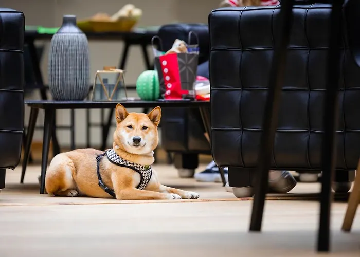 Ibis Styles Centre Hotel 3*