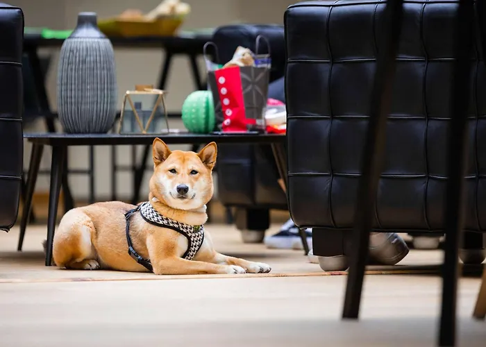 Hotel Ibis Styles Centre 3*